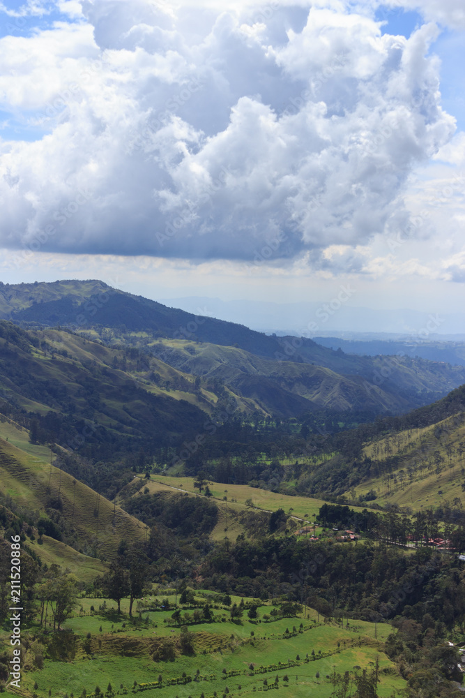 Fototapeta premium Valle de Cocora, salento colombia