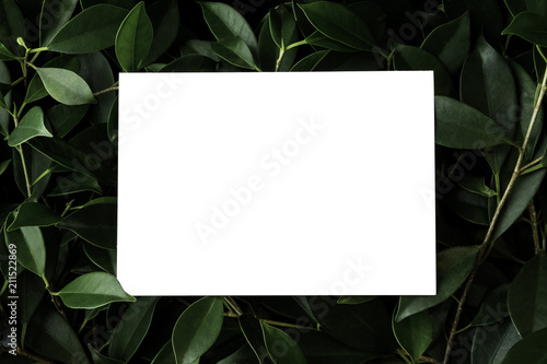 Blank white postcard placed on top of bush (with Clipping Path)