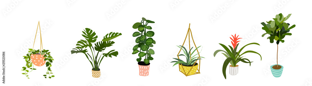 Plakat kolekcja roślin doniczkowych. sukulenty i rośliny domowe. ręcznie rysowane grafiki wektorowej. Zestaw domu kryty roślina wektor kreskówka doodle.