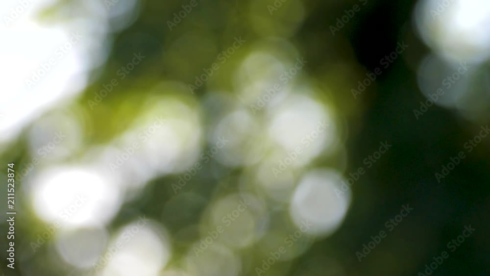 Light Blobs cool Bokeh Light Leaks full HD 180p VJ Visual Resource video background with copy space for text or image Light Blobs cool Bokeh Light Leaks full HD 180p VJ Visual Resource video background with copy space for text or image
