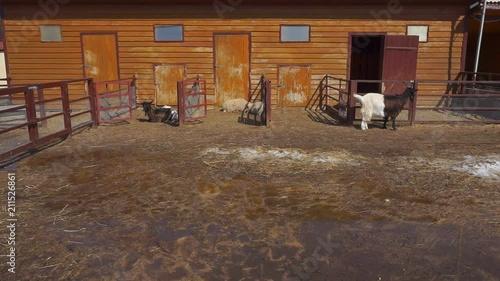 typical farmyard. photo