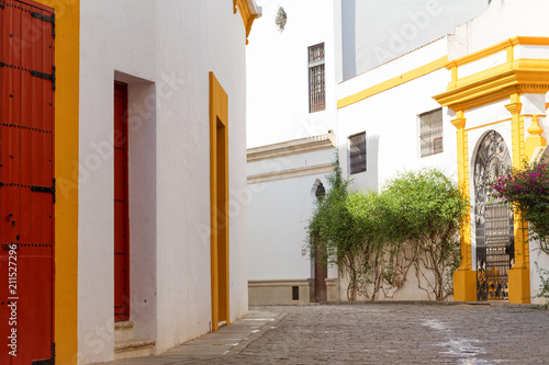 Fototapeta Naklejka Na Ścianę i Meble -  Seville, Spain - Architecture barrio Santa Cruz district