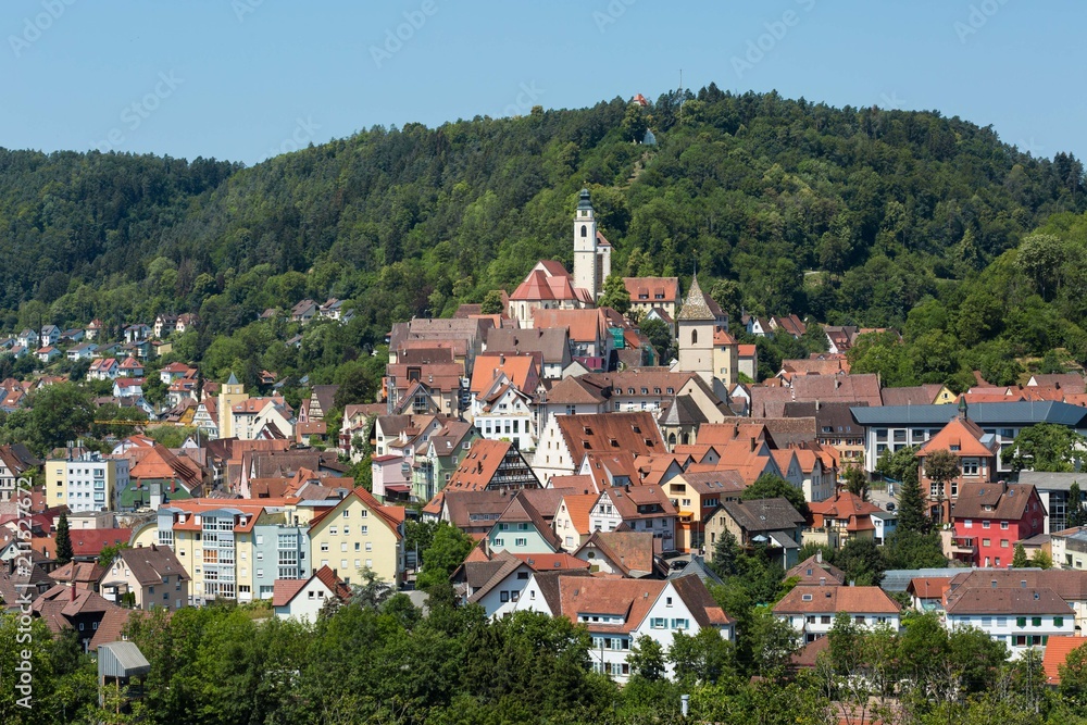 Ausblick auf Horb am Neckar