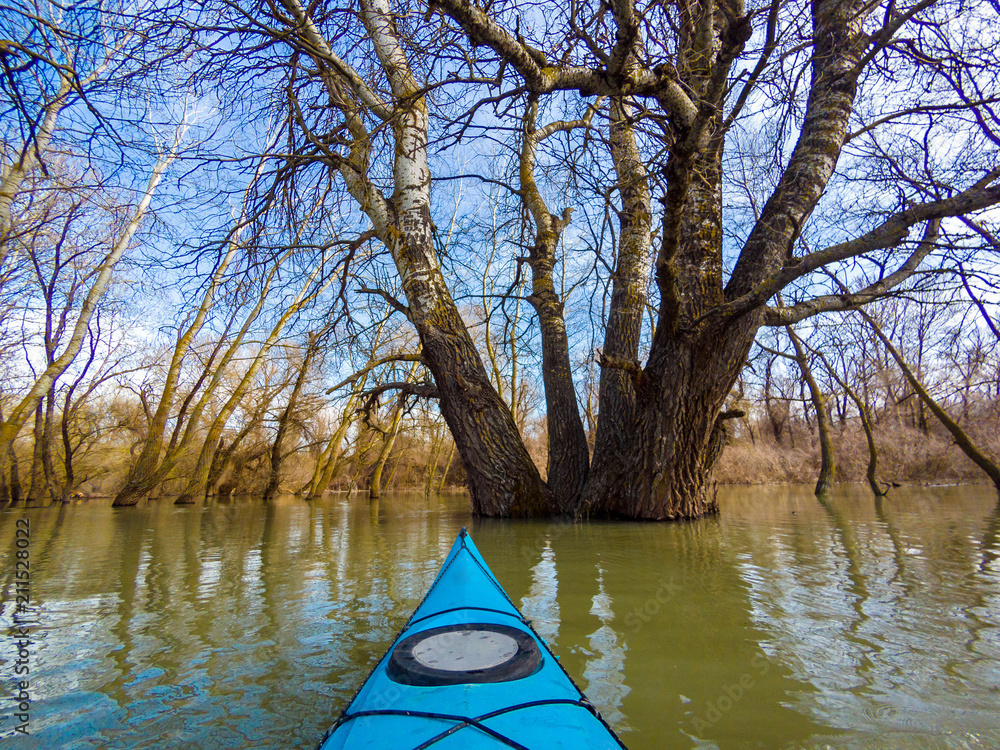 Fototapeta premium View from the bow of blue kayak on flooded trees during the spring high water on the Danube river. Kayaking in a wild forest among flooded trees.
