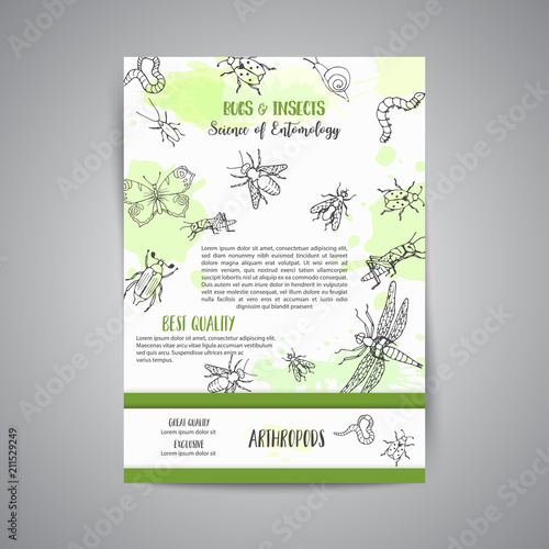 Bugs insects hand drawn banner. Pest control concept. Entomology poster Cartoon illustration of pests and bug. Vector illustration concept