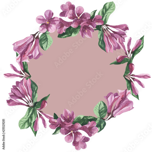 floral frame, watercolor weigela flower