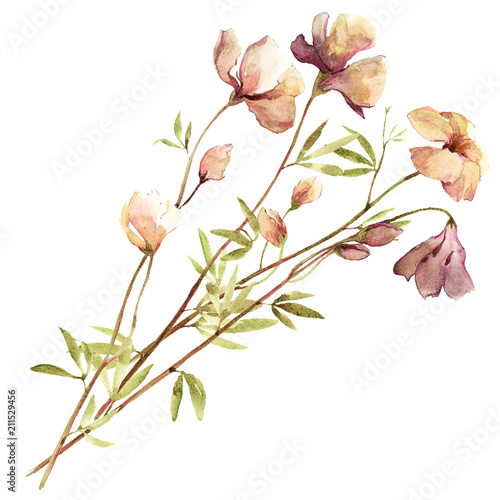 Isolated light watercolor vintage bouquet of wild flowers.