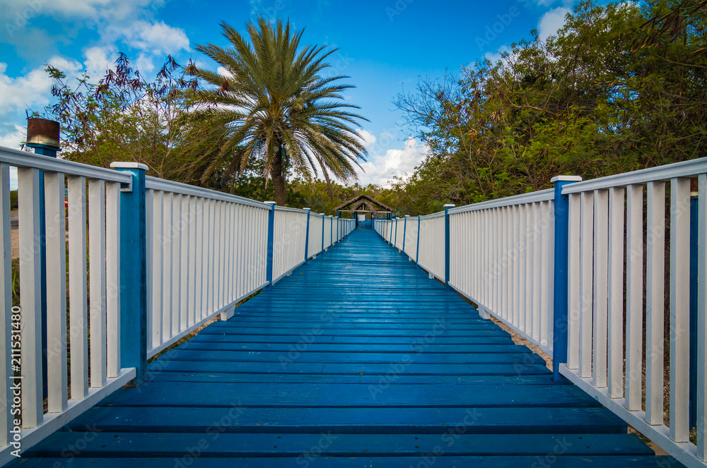 Blue Painted Boardwalk Leading Toward The Beach