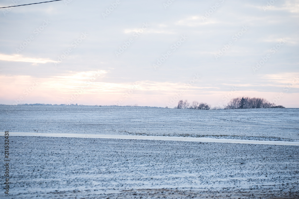 Open fields in winter. Bald trees and snowy lands. Vanilla sky. Winter in Latvia. Open fields in winter. Bald trees and snowy lands. Vanilla sky. Winter in Latvia.
