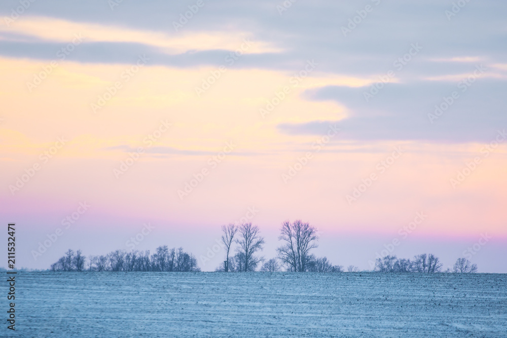 Open fields in winter. Bald trees and snowy lands. Vanilla sky. Winter in Latvia.