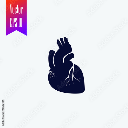 realistic heart icon vector