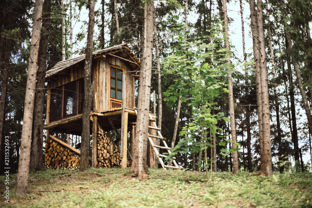 Diy small majestic wood house in forest. Big windows for watching forest  animals. Stock Photo | Adobe Stock