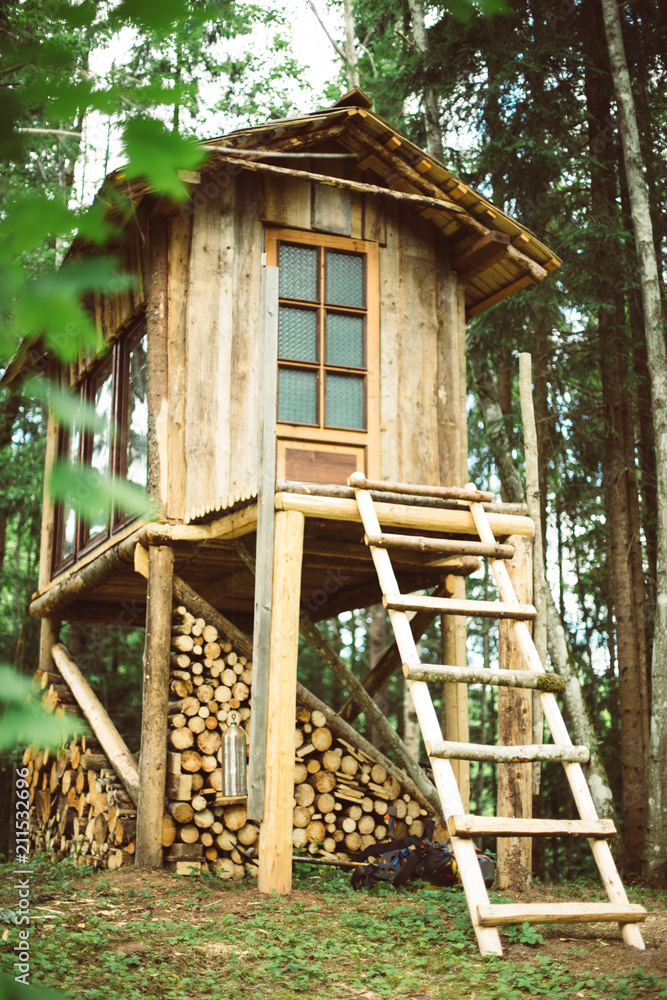 Diy small majestic wood  on wooden feet. Big windows for  watching forest animals. Stock Photo | Adobe Stock