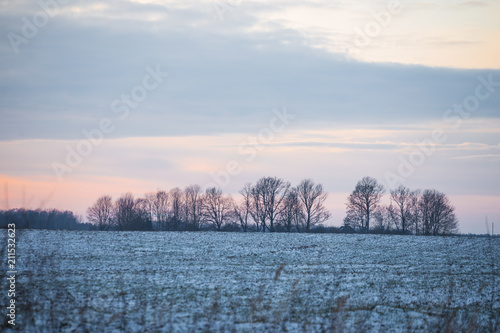 Open fields in winter. Bald trees and snowy lands. Vanilla sky. Winter in Latvia.