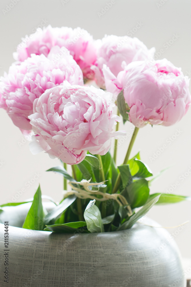 Macro image of beautiful fresh pink peony flower isolated on background with copy space Macro image of beautiful fresh pink peony flower isolated on background with copy space