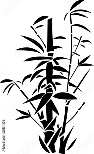 bambus-pojedynczy-krzew