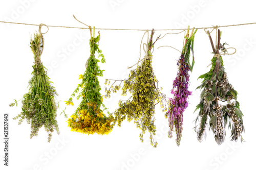 Bunch of medicinal plants on a rope isolated on a white background photo