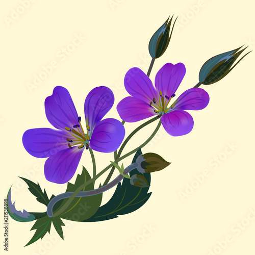 Fototapeta Naklejka Na Ścianę i Meble -  Flower pattern billet on a light yellow background purple and violet flowers
