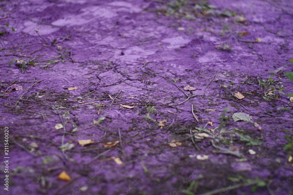 Obraz premium purple ground