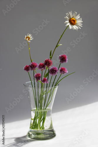 A few twigs of wild chives onion Allium schoenoprasum and chamomile in a glass vase on a gray background.