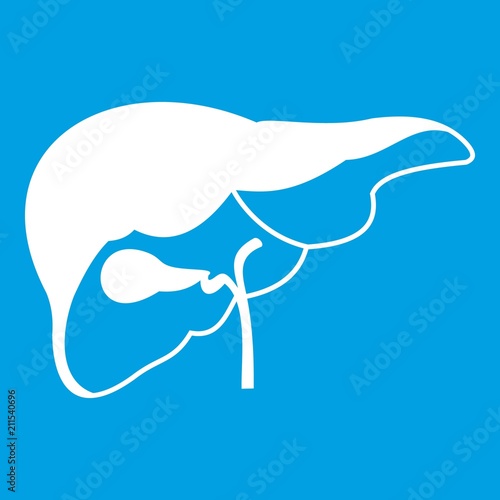 Liver icon white isolated on blue background vector illustration