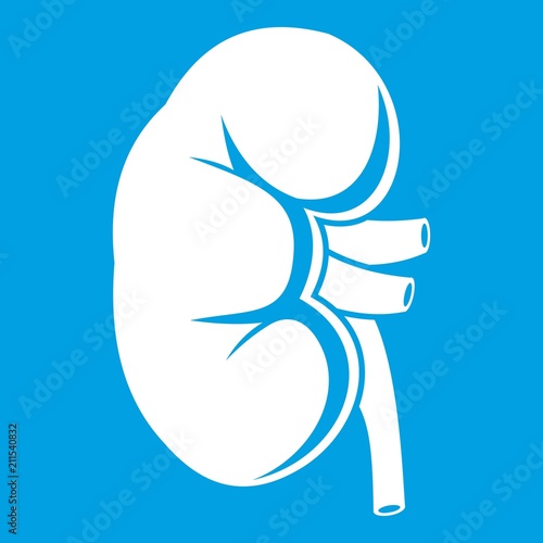 Kidney icon white isolated on blue background vector illustration