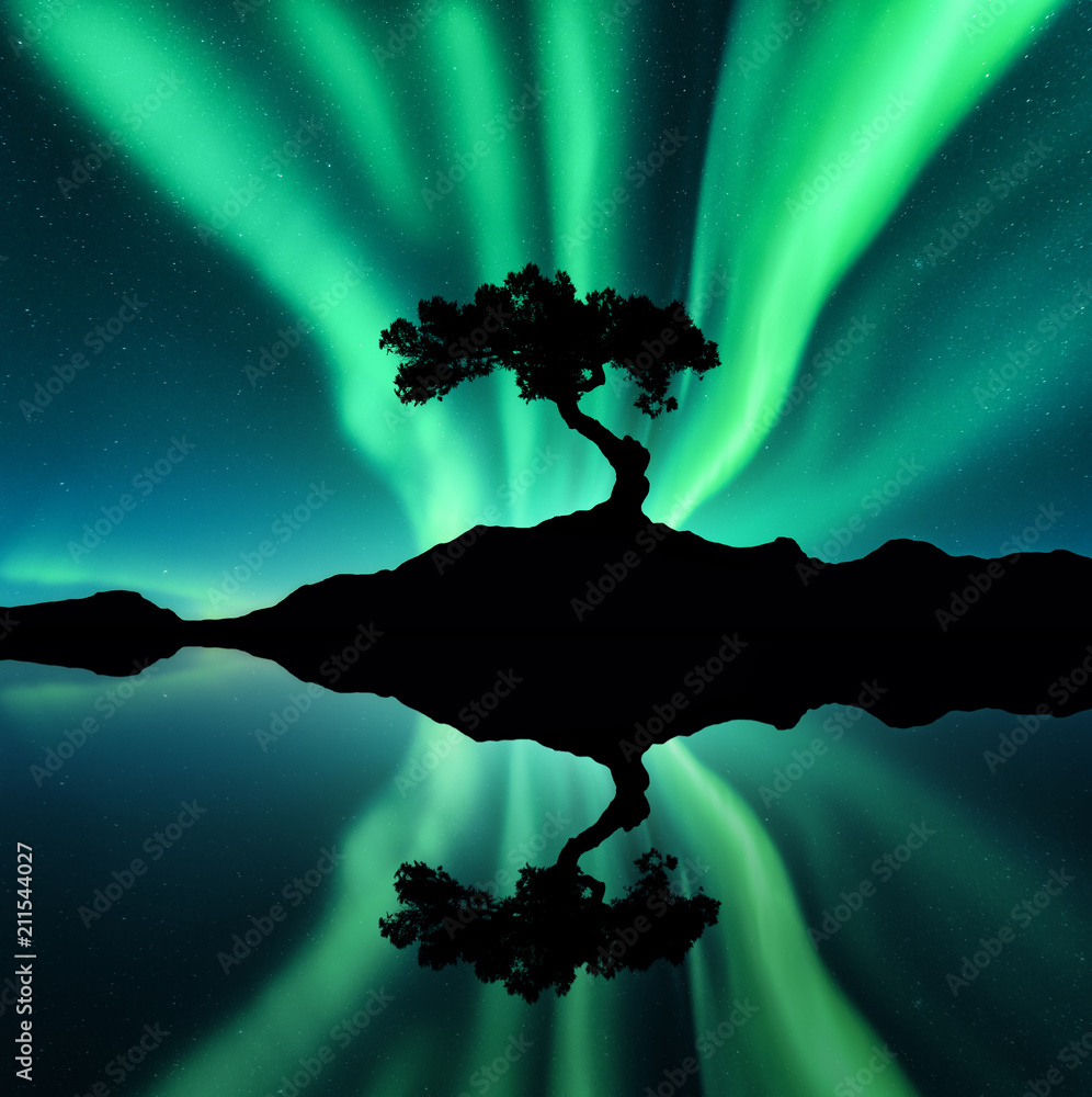 Northern lights tree deals