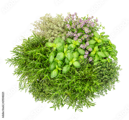Fresh herbs isolated white background Basil rosemary thyme Top view