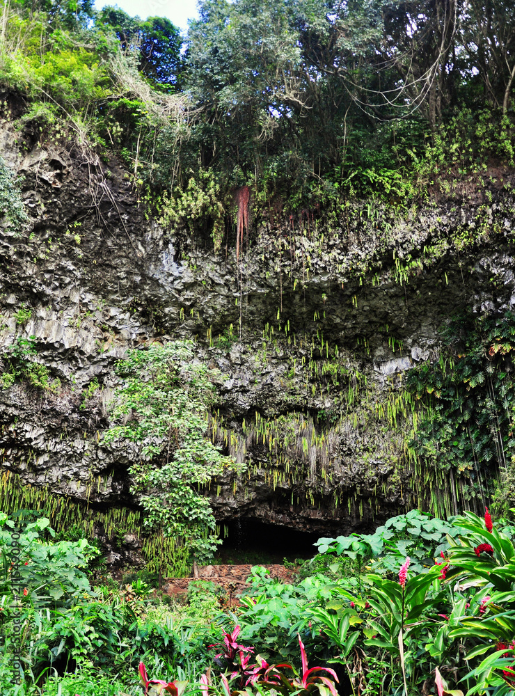 Wailua Fern Grotto The grotto accessed using a boat is unique. Many plants in the grotto grow