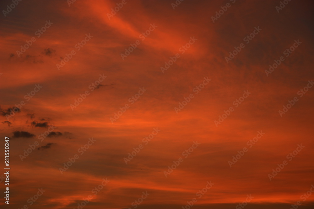 Fototapeta premium Sâo Paulo City