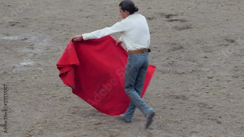 Bull charging very close to a matador bullfighter's red cape photo