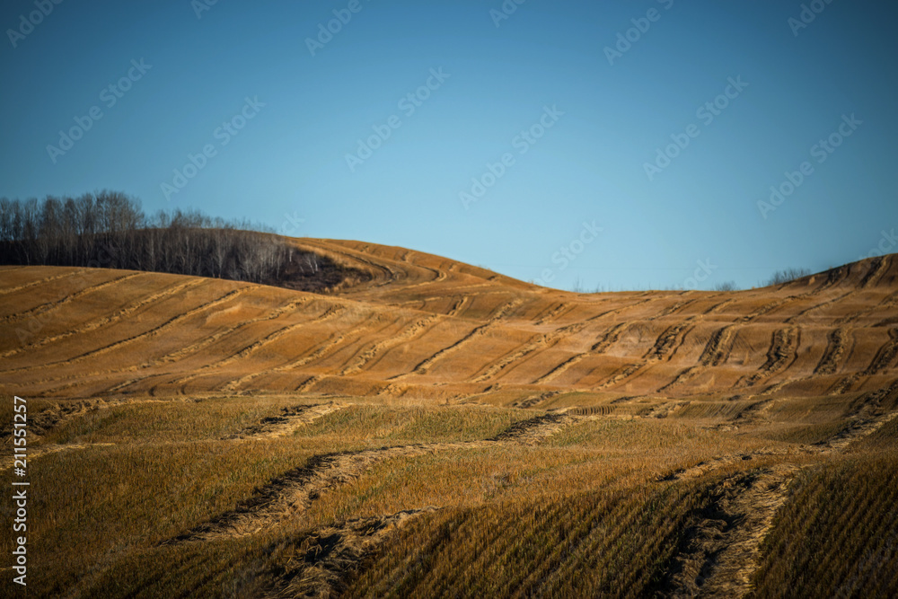 Autumn Field Autumn Field
