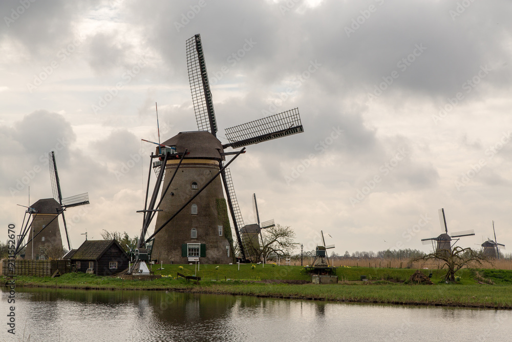 A Dutch Windmill on a Blustery Spring Day