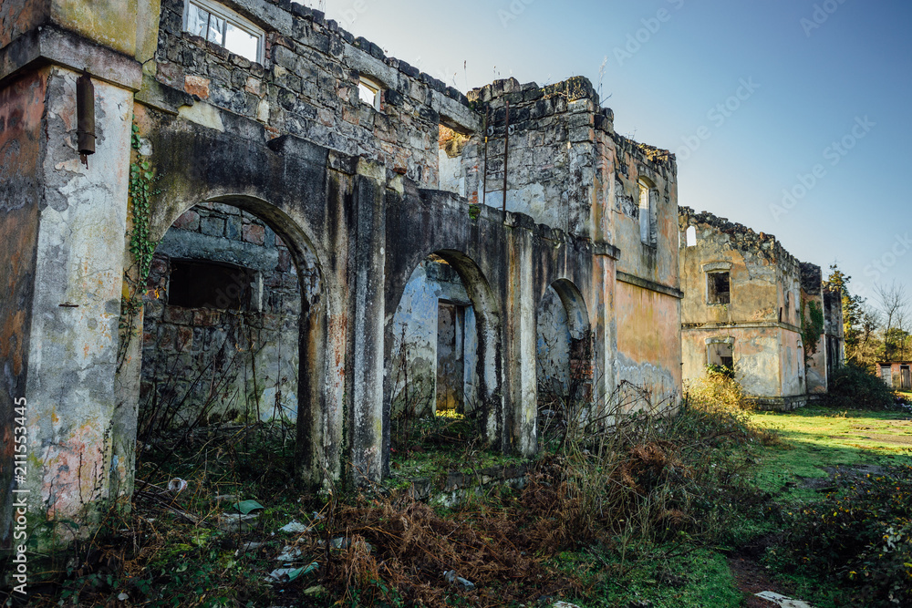 Overgrown ruins of abandoned mansion, Abkhazia
