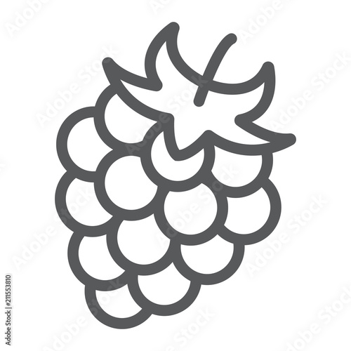 Blackberry line icon, fruit and vitamin, raspberry sign, vector graphics, a linear pattern on a white background, eps 10.