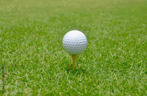 Golf ball on a tee 