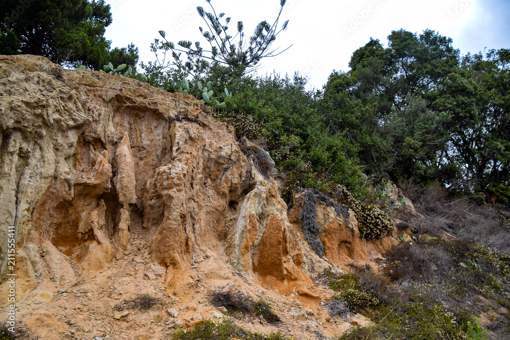 Eroding Sandstone Cliffs of La Jolla Farms