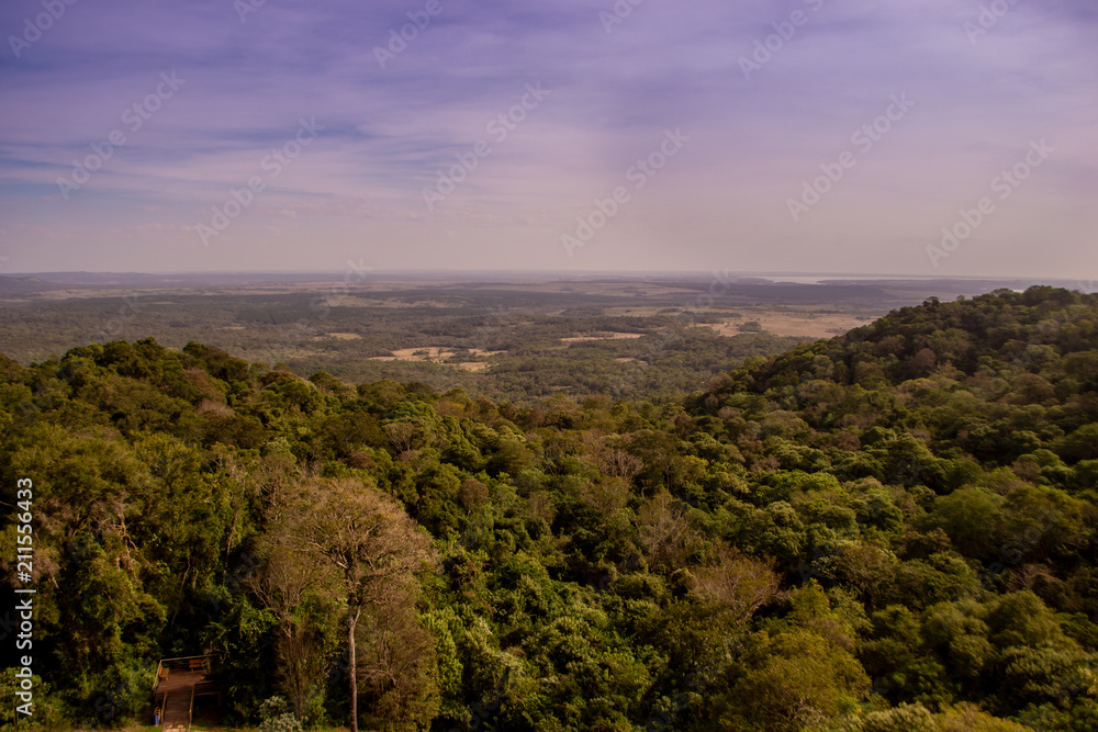  panoramic view of the missionary jungle