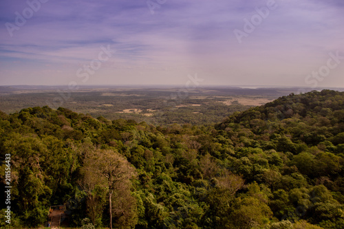  panoramic view of the missionary jungle