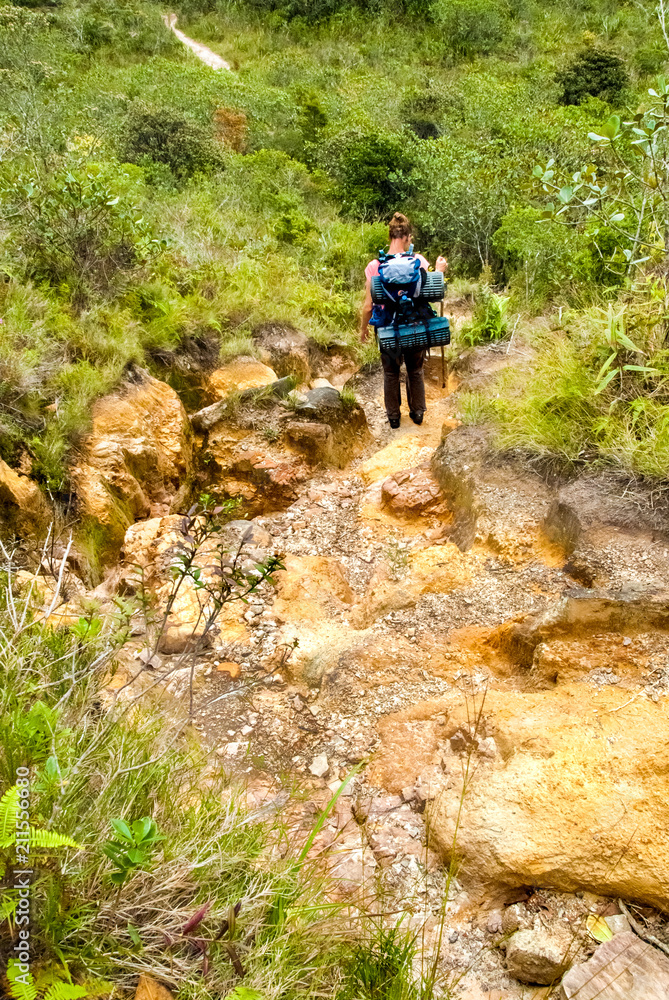 Obraz premium Roraima Tepui, La Gran Sabana, Venezuela