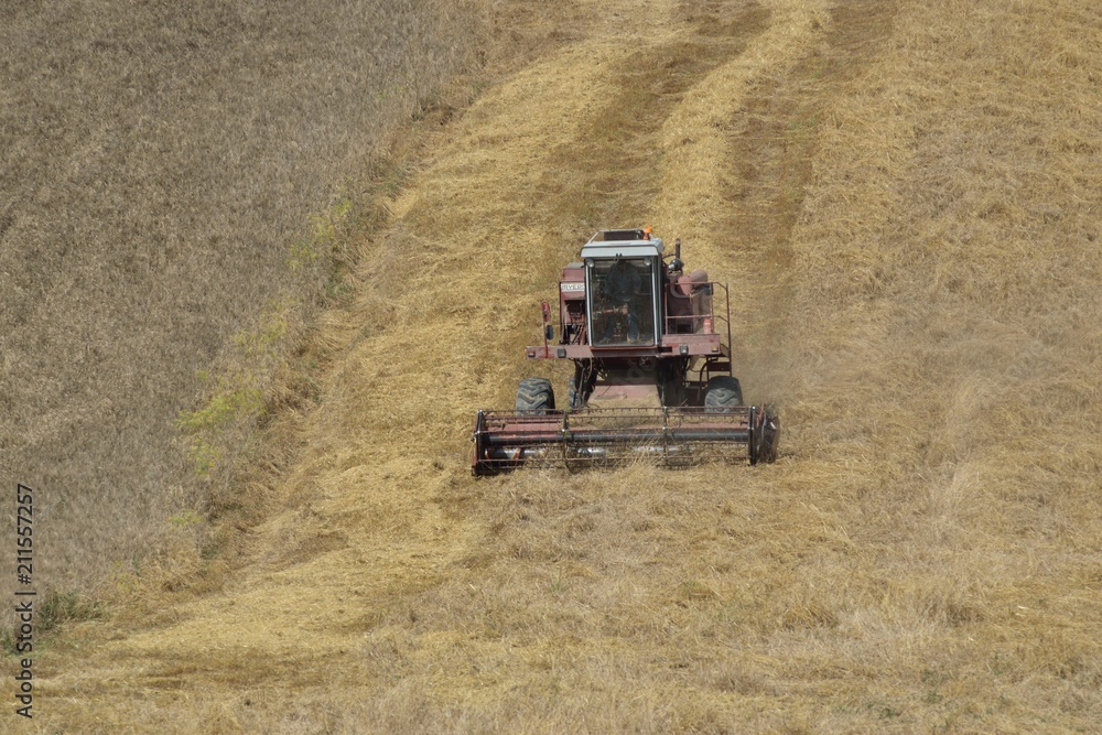 Obraz premium agriculture,