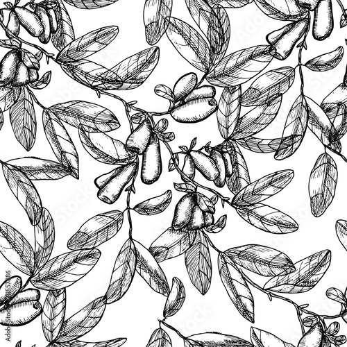 Seamless background with black and white honeysuckle berries and leaves on branches. Vintage nature concept, hand drawn vector illustration with engraved design elements photo
