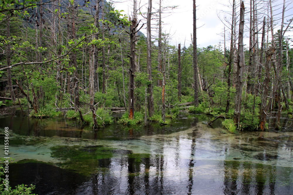 Fototapeta premium 上高地