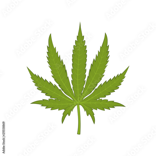 Marujuaba illustration. Vector.