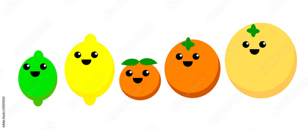 Cute illustration of various citrus fruits