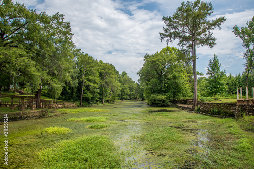 Radium Springs Natural Park 