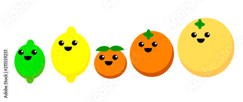 Cute illustration of various citrus fruits