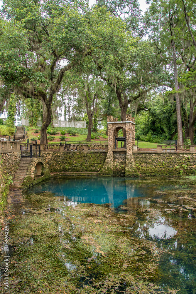 Radium Springs Natural Park 