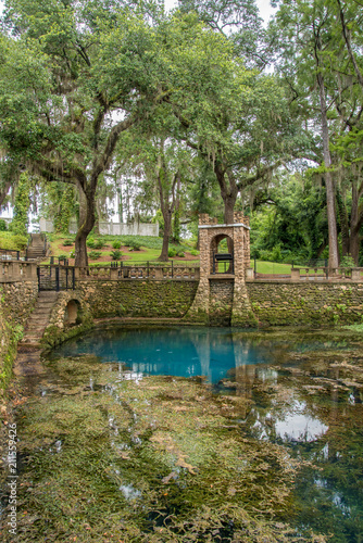 Radium Springs Natural Park 