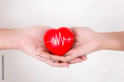 Heart in hands of couple love. Isolated on white background. Studio lighting.